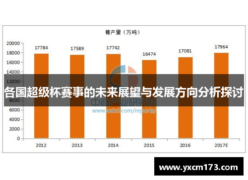 各国超级杯赛事的未来展望与发展方向分析探讨