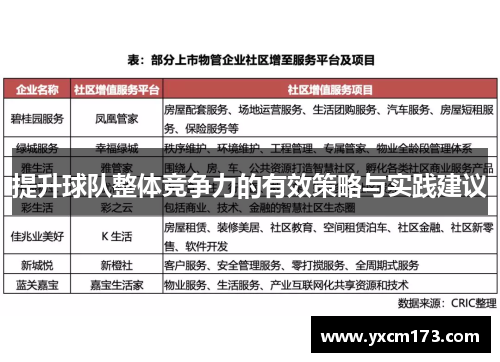 提升球队整体竞争力的有效策略与实践建议