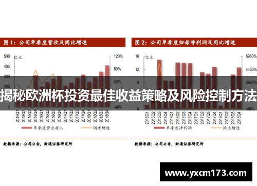 揭秘欧洲杯投资最佳收益策略及风险控制方法